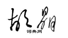 骆恒光胡晶草书个性签名怎么写