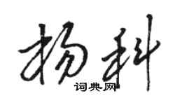 骆恒光杨科草书个性签名怎么写