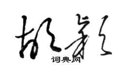 骆恒光胡颖草书个性签名怎么写