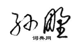 骆恒光孙野草书个性签名怎么写