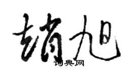 骆恒光赵旭草书个性签名怎么写