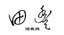骆恒光田丰草书个性签名怎么写