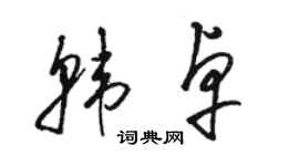 骆恒光韩卓草书个性签名怎么写