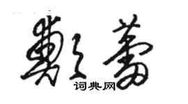 骆恒光郑蕾草书个性签名怎么写