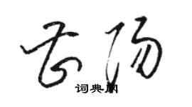 骆恒光曹阳草书个性签名怎么写