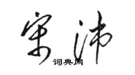 骆恒光宋沛草书个性签名怎么写