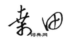 骆恒光桑田草书个性签名怎么写