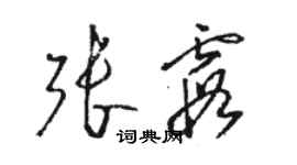 骆恒光张霞草书个性签名怎么写