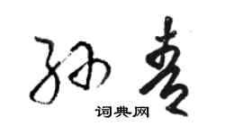 骆恒光孙青草书个性签名怎么写