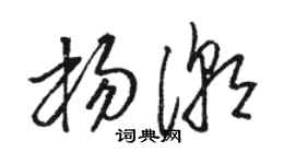 骆恒光杨潮草书个性签名怎么写