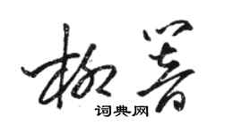骆恒光柳响草书个性签名怎么写
