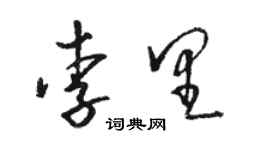 骆恒光李里草书个性签名怎么写