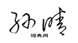 骆恒光孙晴草书个性签名怎么写