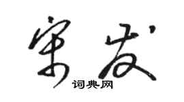 骆恒光宋发草书个性签名怎么写