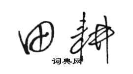 骆恒光田耕草书个性签名怎么写