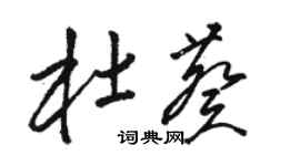 骆恒光杜葵草书个性签名怎么写