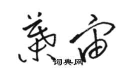 骆恒光叶宙草书个性签名怎么写