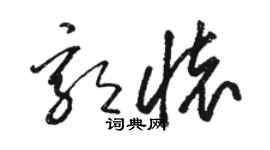 骆恒光郭怀草书个性签名怎么写