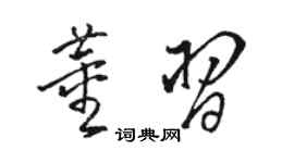 骆恒光董习草书个性签名怎么写