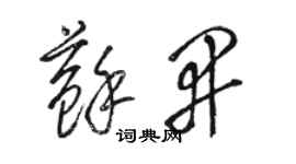 骆恒光苏开草书个性签名怎么写