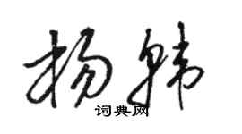 骆恒光杨韩草书个性签名怎么写
