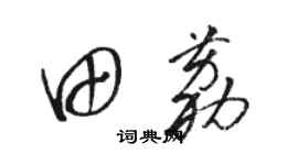 骆恒光田荔草书个性签名怎么写