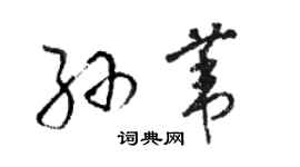 骆恒光孙苇草书个性签名怎么写