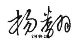 骆恒光杨翻草书个性签名怎么写