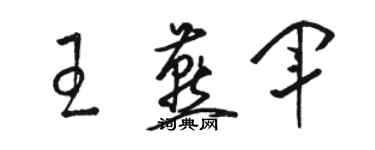 骆恒光王燕军草书个性签名怎么写