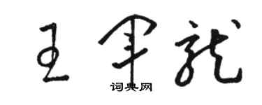骆恒光王军龙草书个性签名怎么写