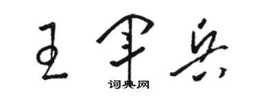骆恒光王军兵草书个性签名怎么写