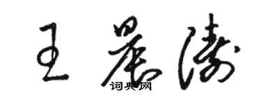 骆恒光王晨涛草书个性签名怎么写