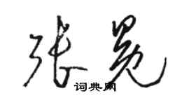 骆恒光张冕草书个性签名怎么写