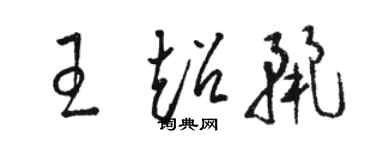 骆恒光王超丽草书个性签名怎么写