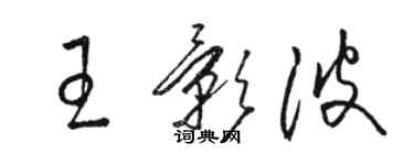 骆恒光王影波草书个性签名怎么写