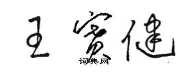 骆恒光王赛健草书个性签名怎么写