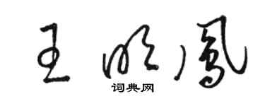 骆恒光王明凤草书个性签名怎么写
