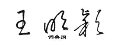 骆恒光王明颖草书个性签名怎么写