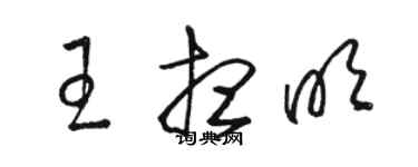 骆恒光王想明草书个性签名怎么写
