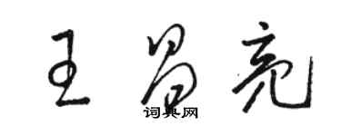 骆恒光王昌亮草书个性签名怎么写