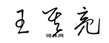 骆恒光王其亮草书个性签名怎么写