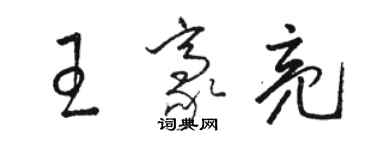 骆恒光王豪亮草书个性签名怎么写