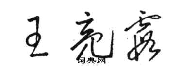 骆恒光王亮霞草书个性签名怎么写