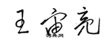 骆恒光王宙亮草书个性签名怎么写