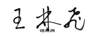 骆恒光王林飞草书个性签名怎么写