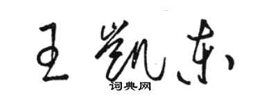 骆恒光王凯东草书个性签名怎么写