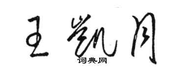 骆恒光王凯月草书个性签名怎么写