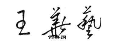 骆恒光王华艺草书个性签名怎么写