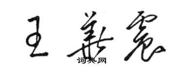 骆恒光王华震草书个性签名怎么写