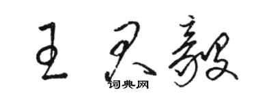 骆恒光王君毅草书个性签名怎么写